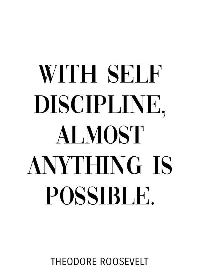 Theodore Roosevelt Quote