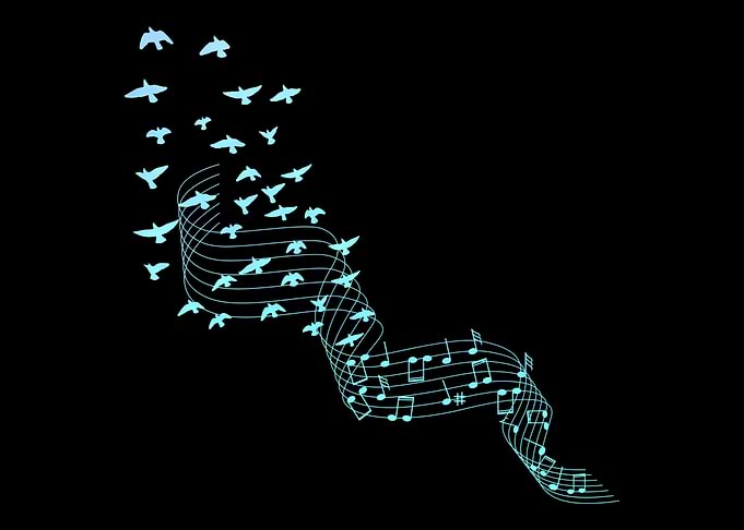 Birds Women Girls