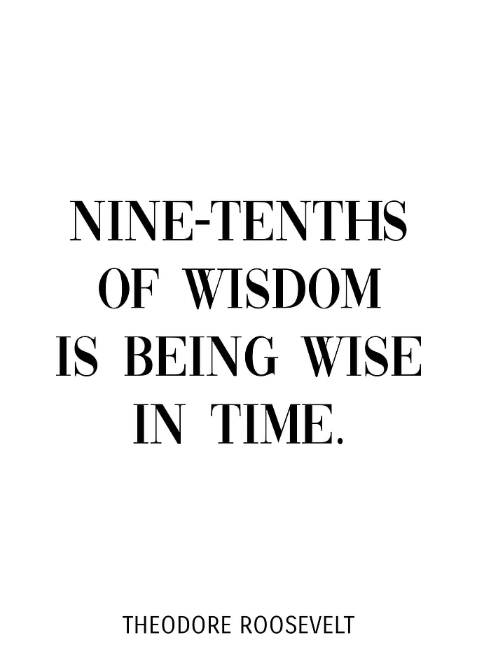 Theodore Roosevelt Quote