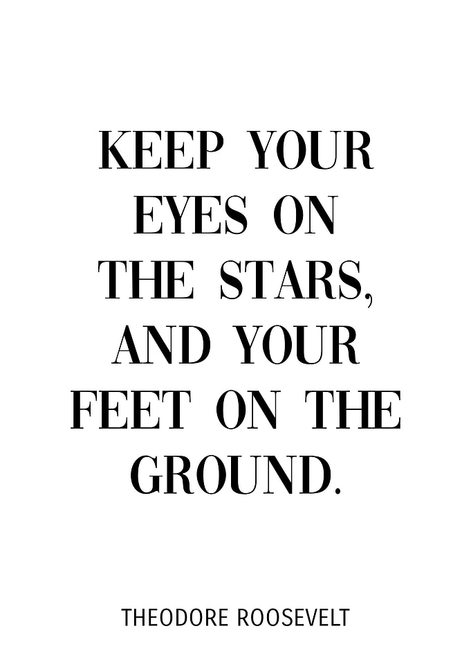 Theodore Roosevelt Quote