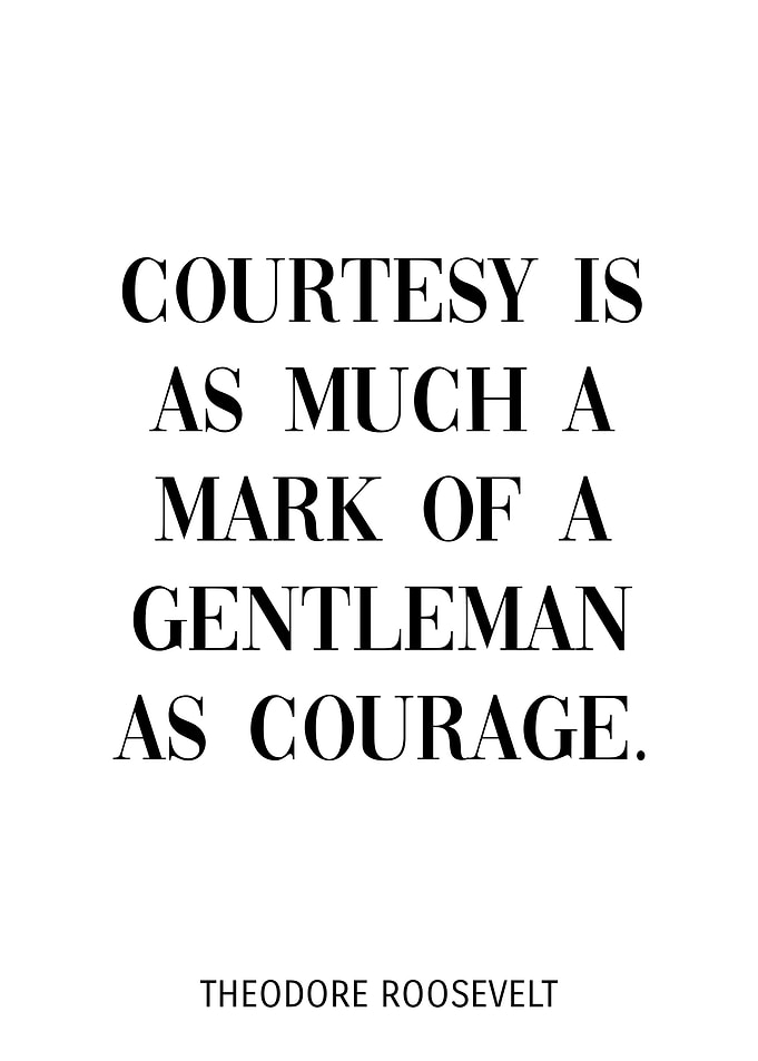 Theodore Roosevelt Quote