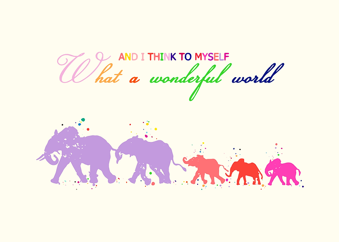 Elephants Family