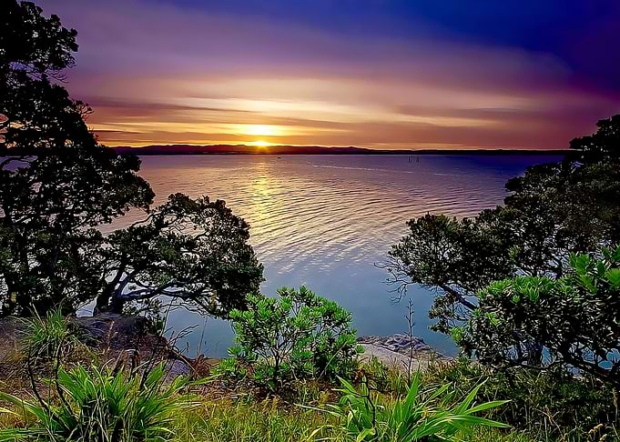 nature view
