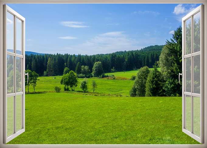 Window veiw landscape