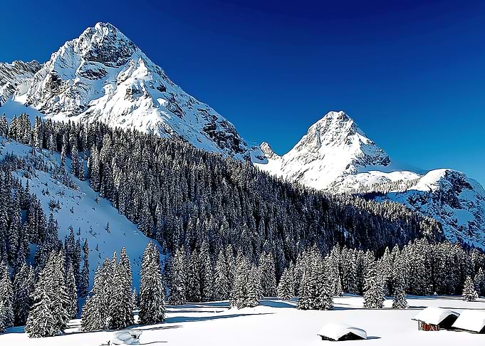 nature view