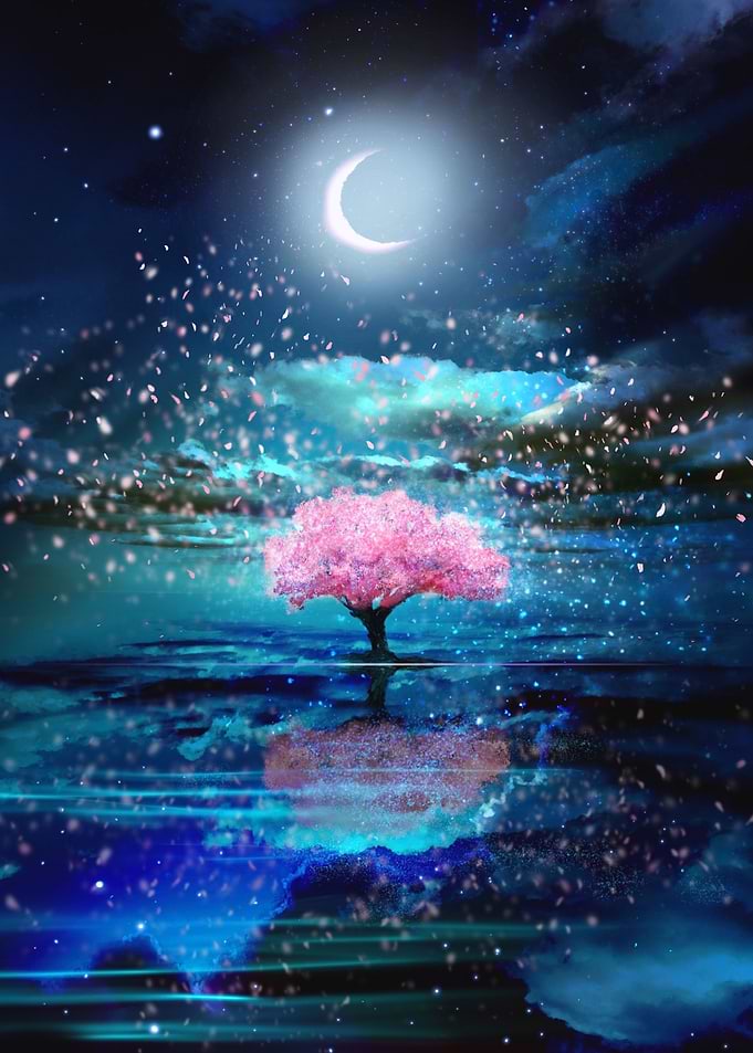 cherry blossom japan art