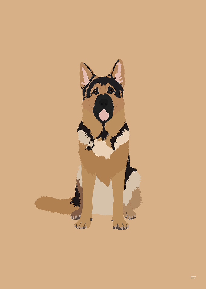 German Shepherd Dog