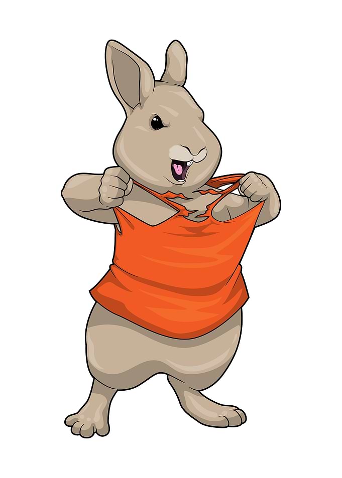 Rabbit Bodybuilder