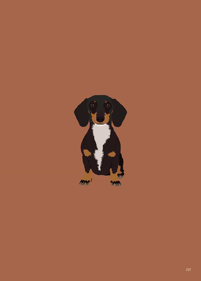 Dachshund Dog Illustration