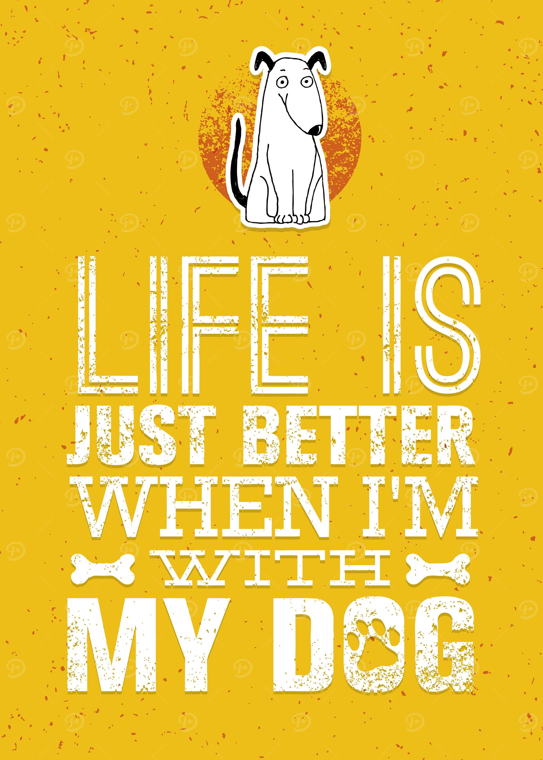 My dog