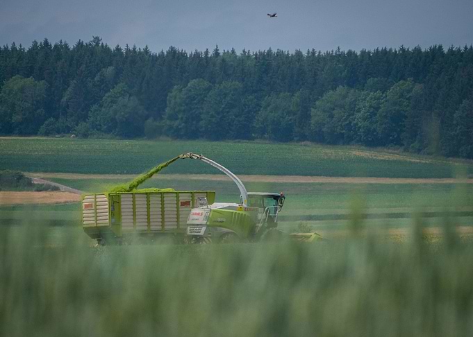 Harvester doing its thing