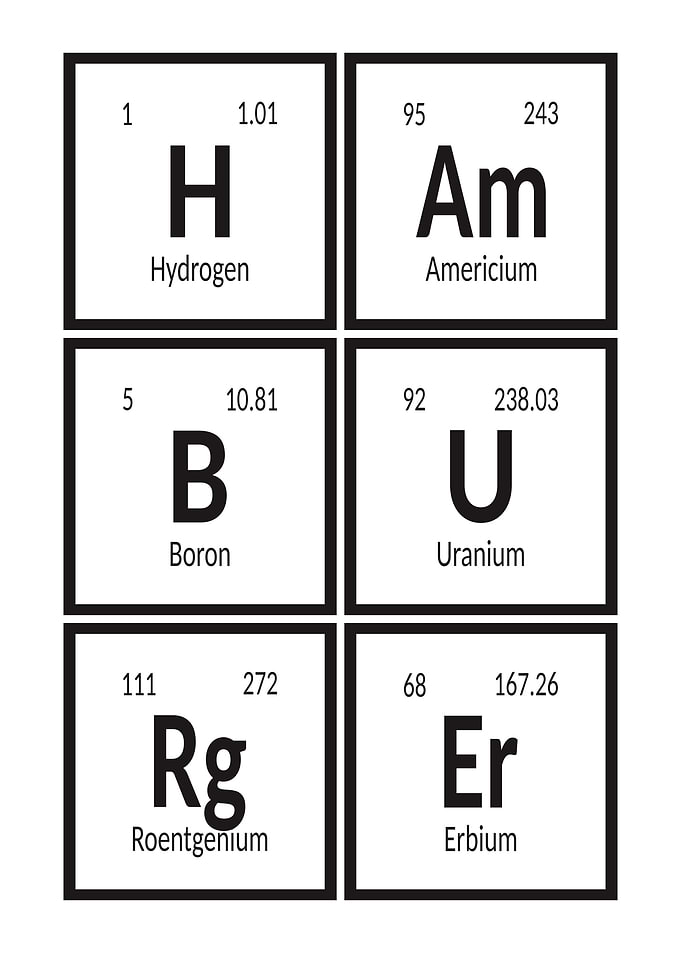 Elements of Hamburger