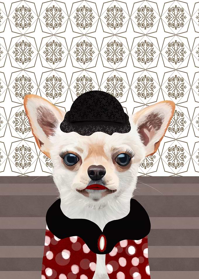 Madam Chihuahua