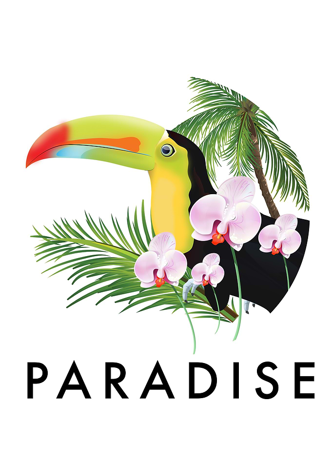Paradise logo