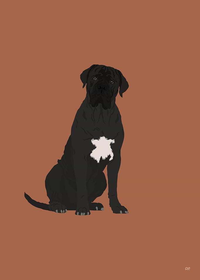 Cane Corso Illustration