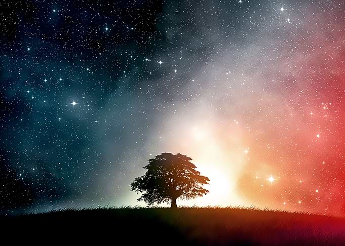 wild nature