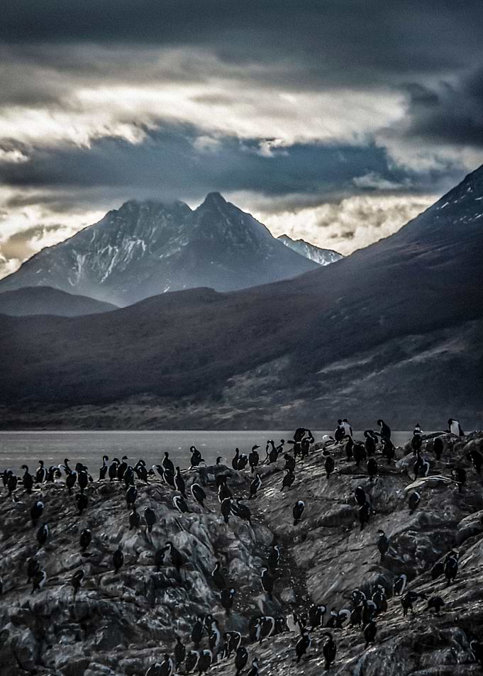 Ushuaia Landscape