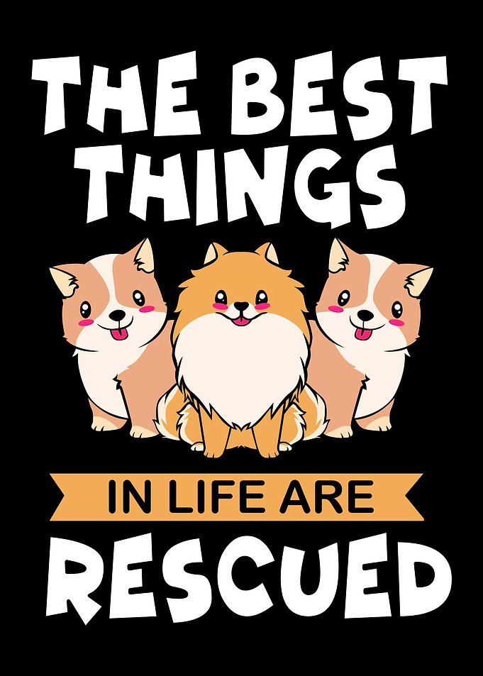 Dog Rescue