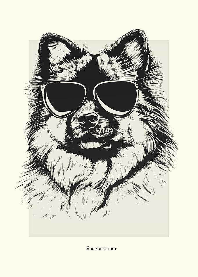 Eurasier Illustration