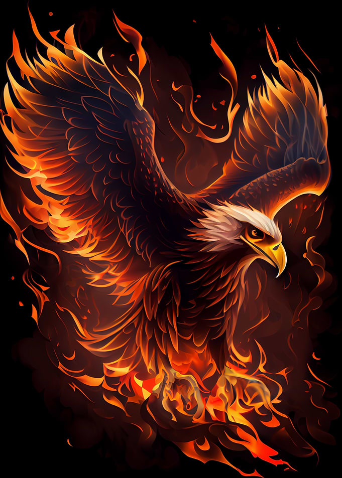 Eagle Bird Animal Fire