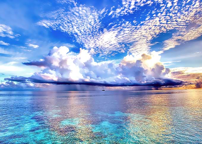 wild nature