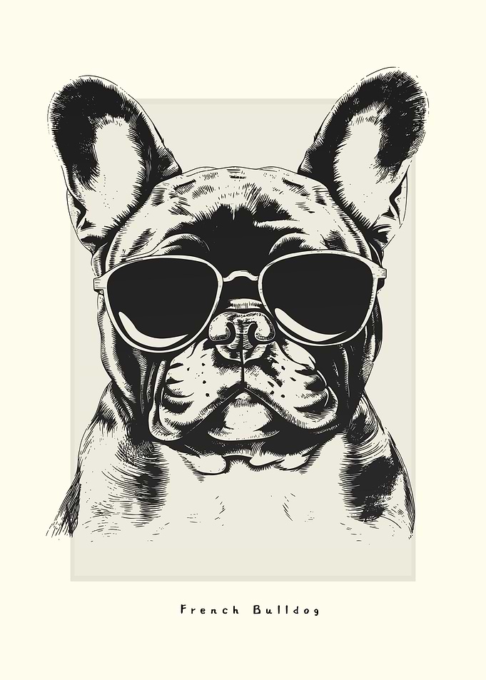 French Bulldog Sketch