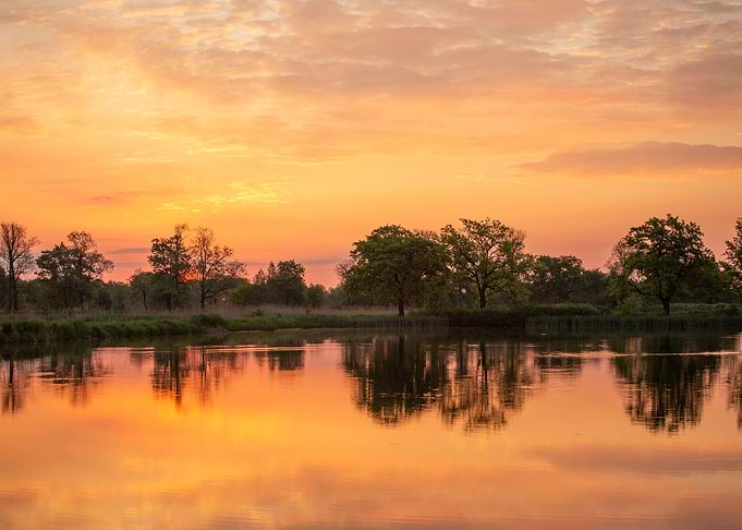 Spring sunrise
