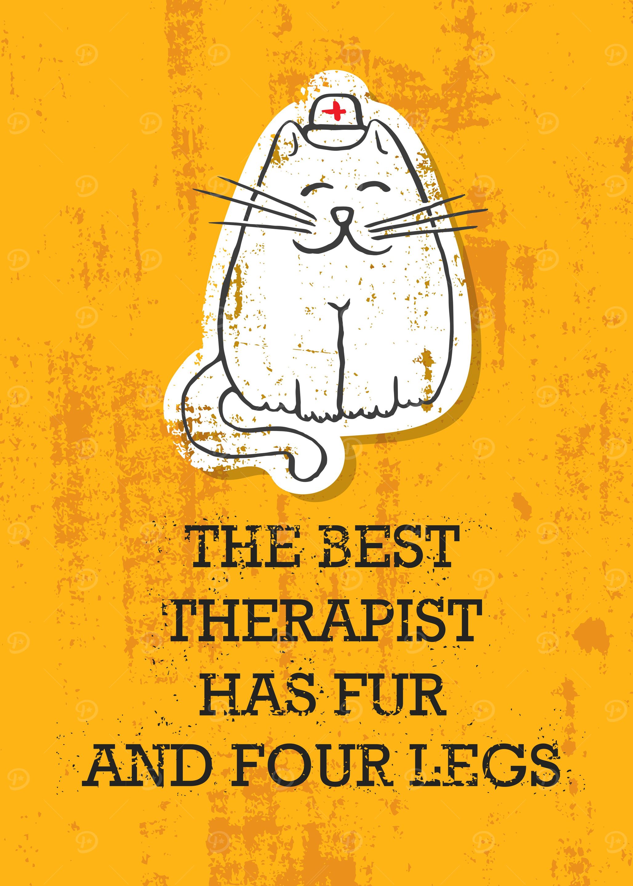 The best therapist
