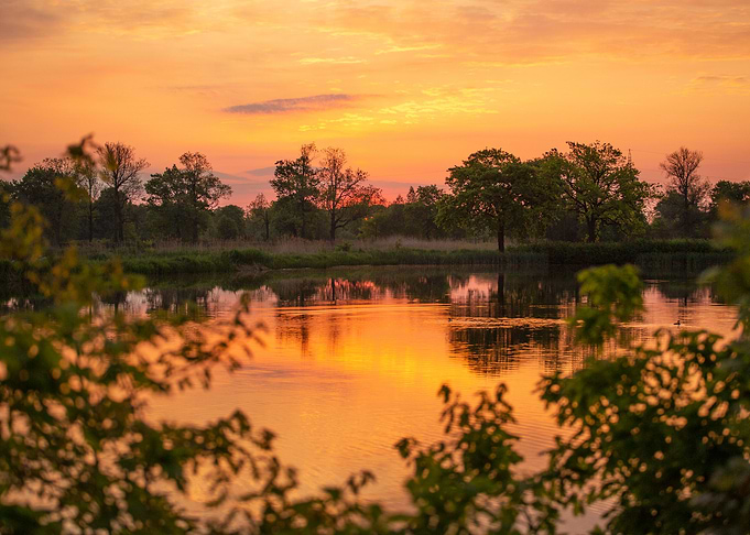 Spring sunrise