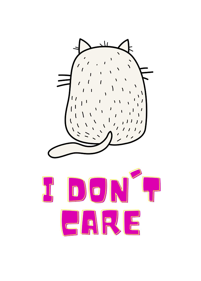 I dont care cat