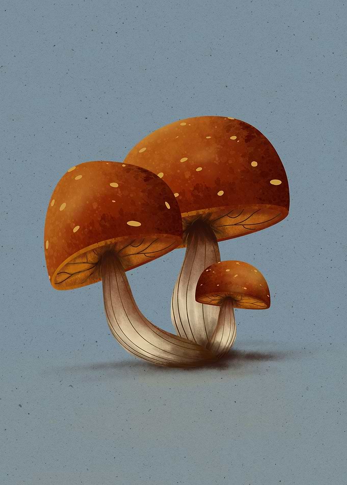 Magic Mushrooms