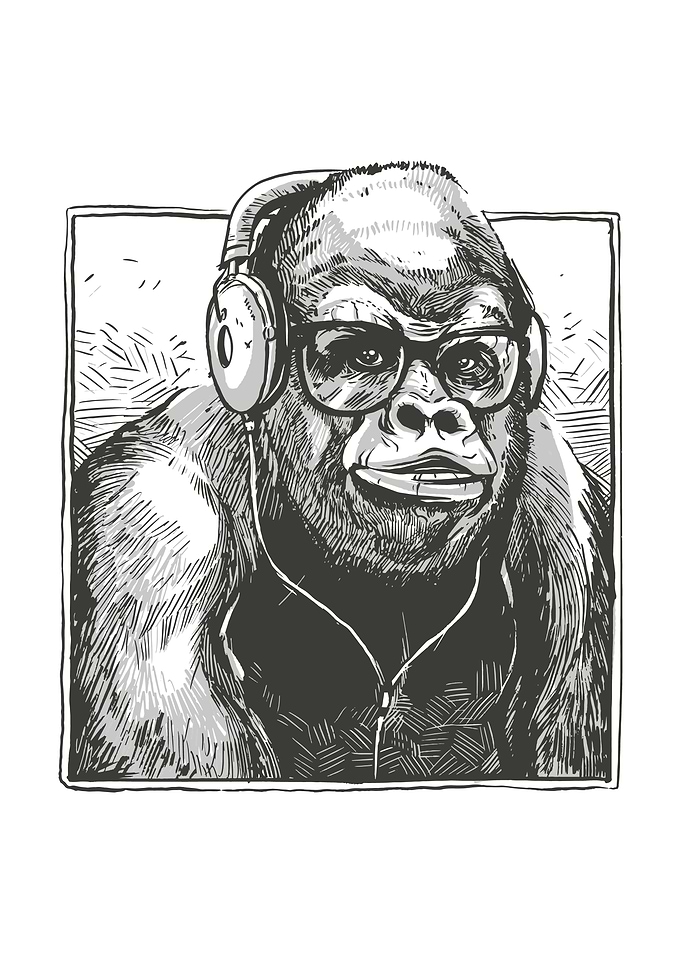 Gorilla animal with