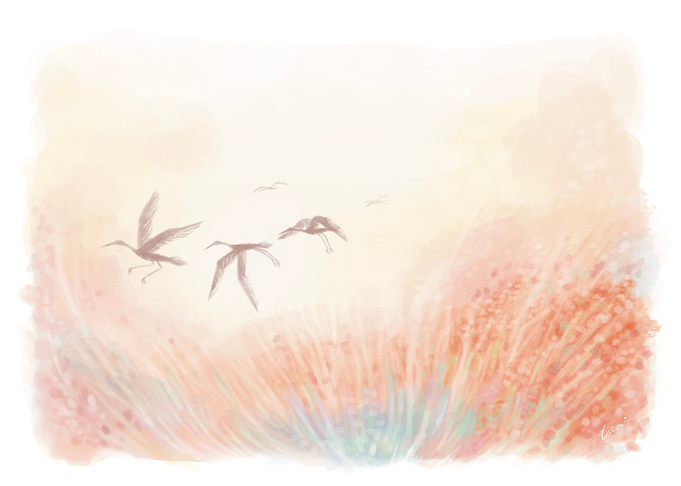 Gratitude