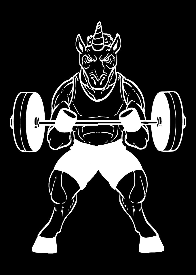 Unicorn Workout Transgende
