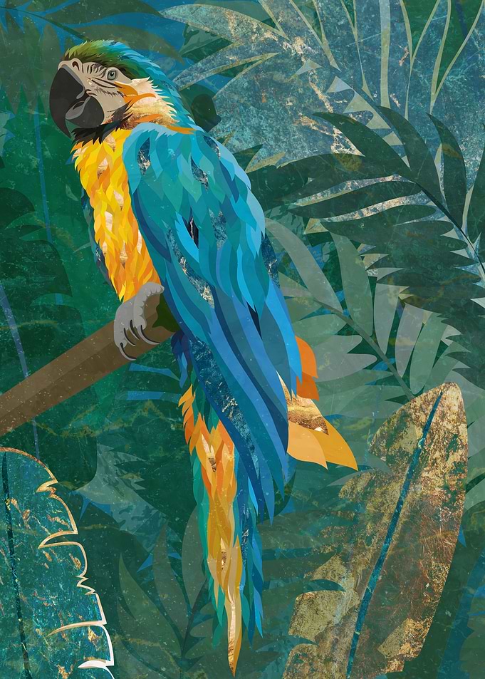 Parrot in the jungle