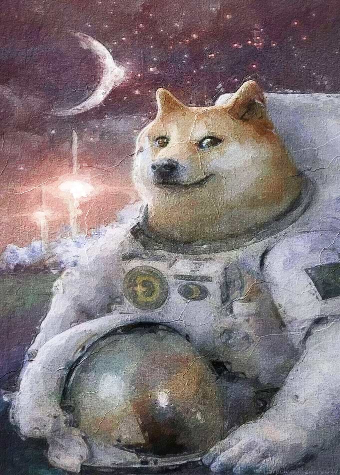 Doge meme