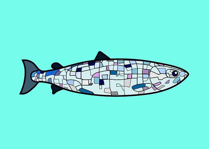 Big Fish On Turquoise