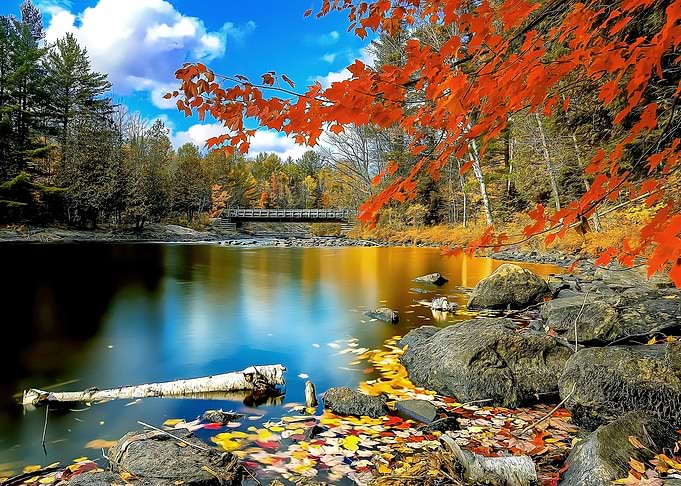 nature view