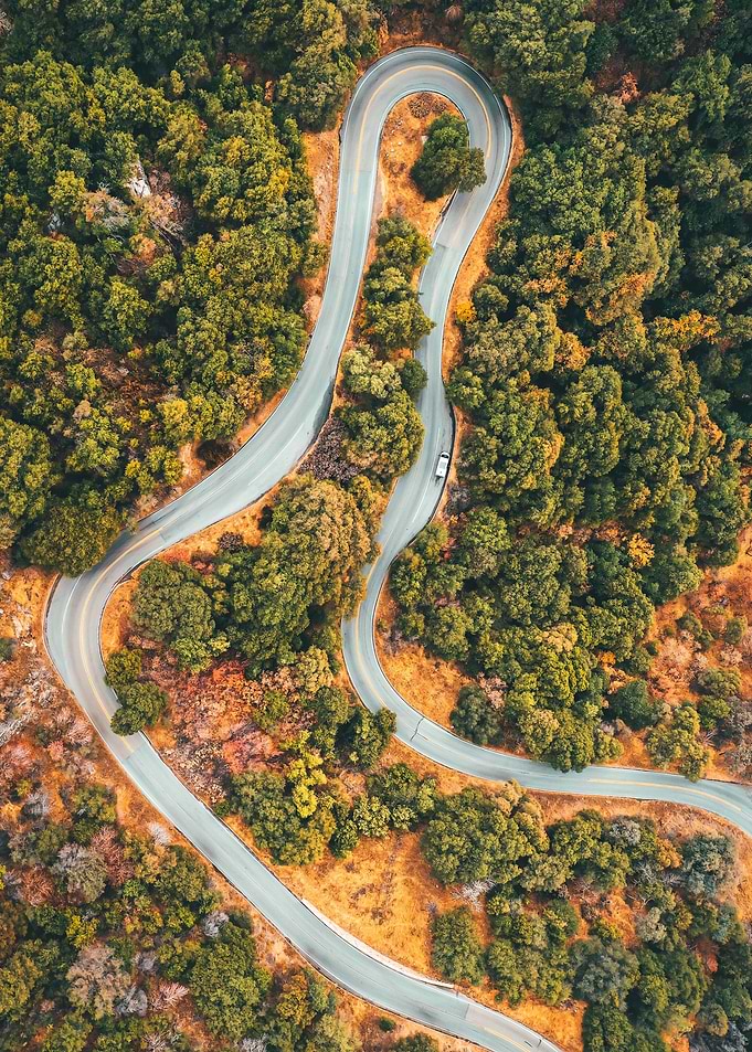 Curve