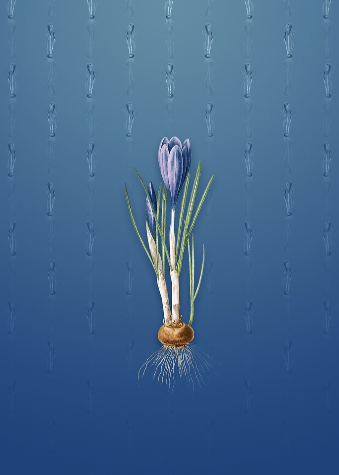 Vintage Spring Crocus