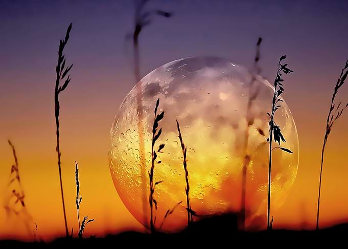 wild nature