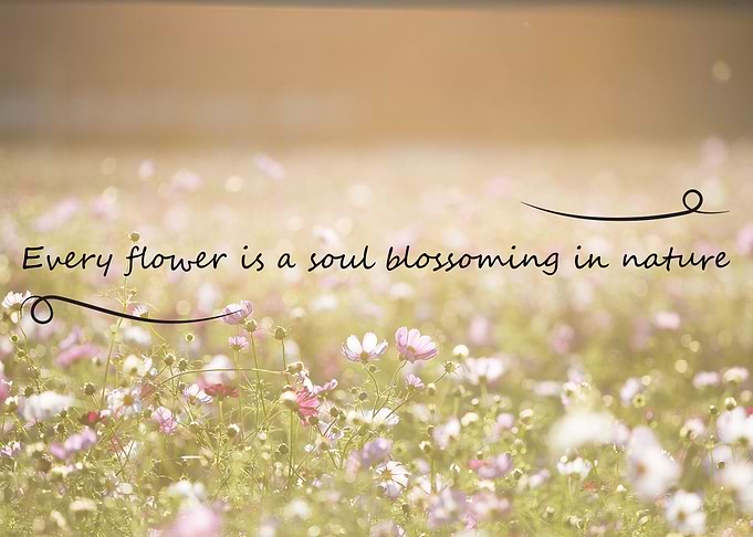 Every Flower Nature Quote