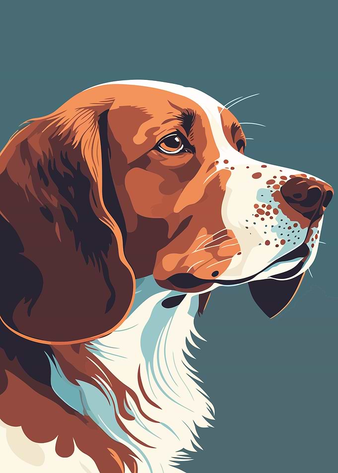 Portraits of dogs