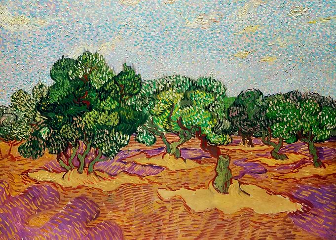 Olive Trees