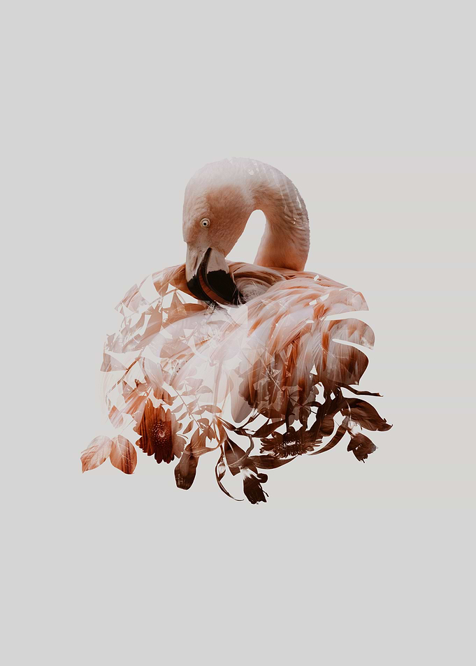 Botanical Flamingo