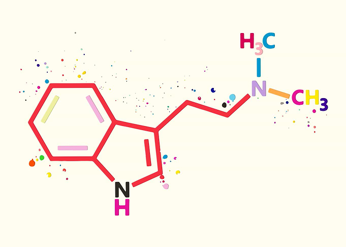 DMT Molecule