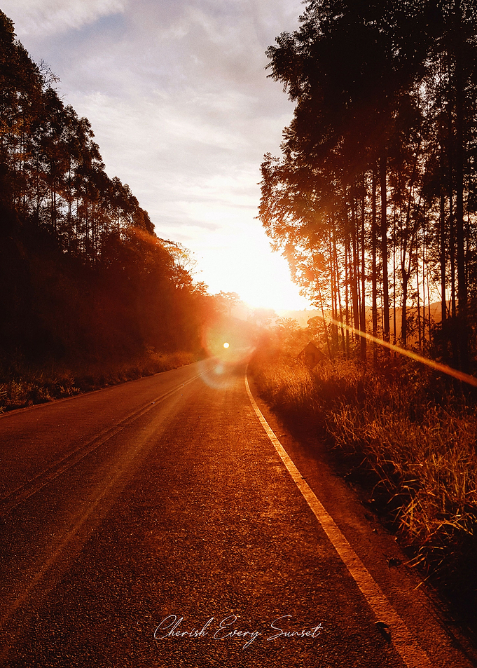 Beautiful Sunset
