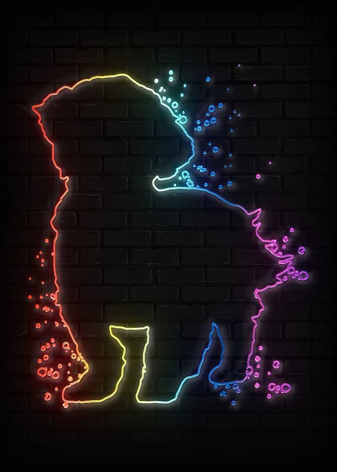 Shih Tzu Art
