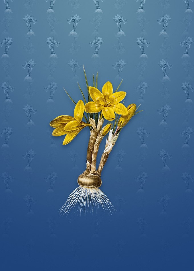 Vintage Crocus Luteus