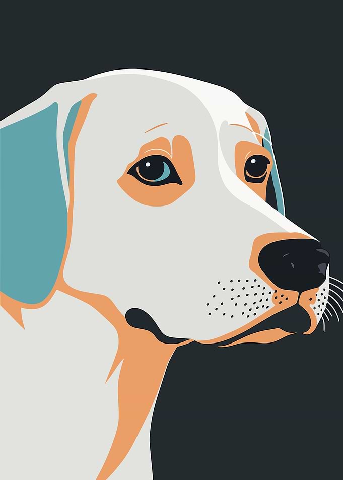 Portraits of dogs